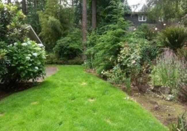 Building Photo - Spacious & light filled home with a garage, backyard, storage & hardwood floors throughout