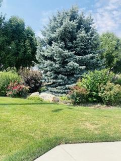 Building Photo - 13513 Palm Beach Dr