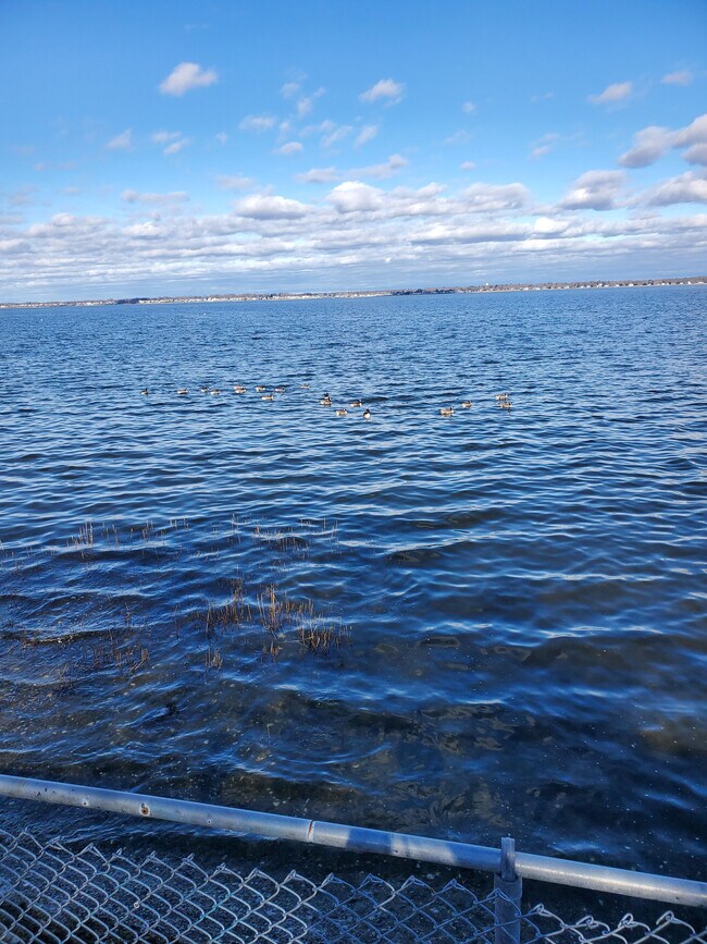 Building Photo - 744 W Shore Rd