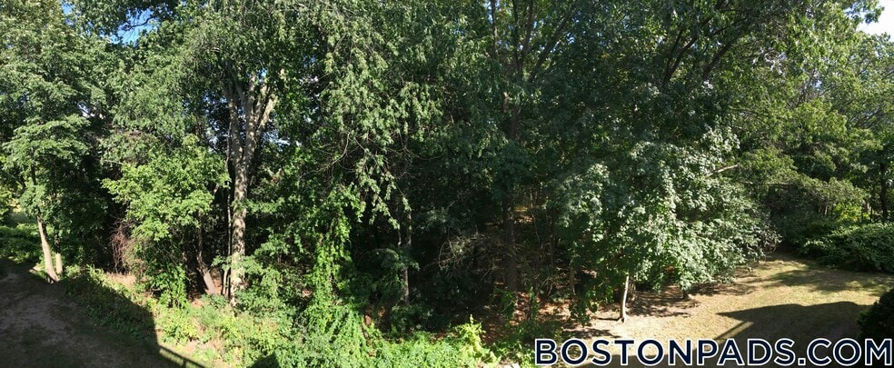 Building Photo - 144 Kenrick St