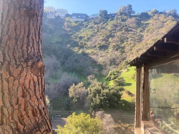 Building Photo - 2252 Laurel Canyon Blvd