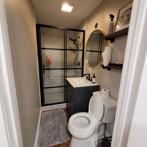 Finished Basement Bathroom - 4436 S King Dr