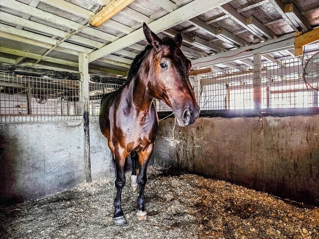 Primary Photo - 1350 C Rd