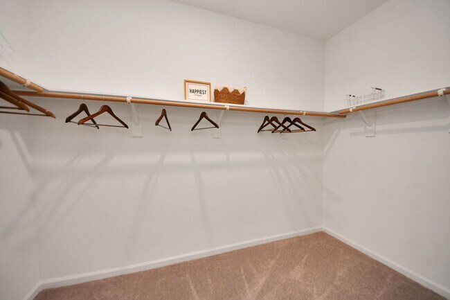 Building Photo - 1816 Corsica Crk Ln