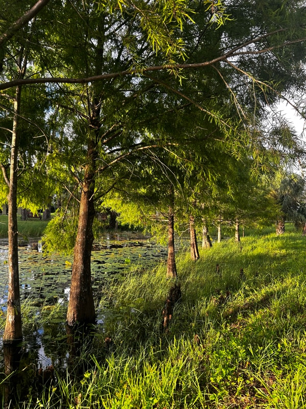 Building Photo - 4791 Palmetto Terrace