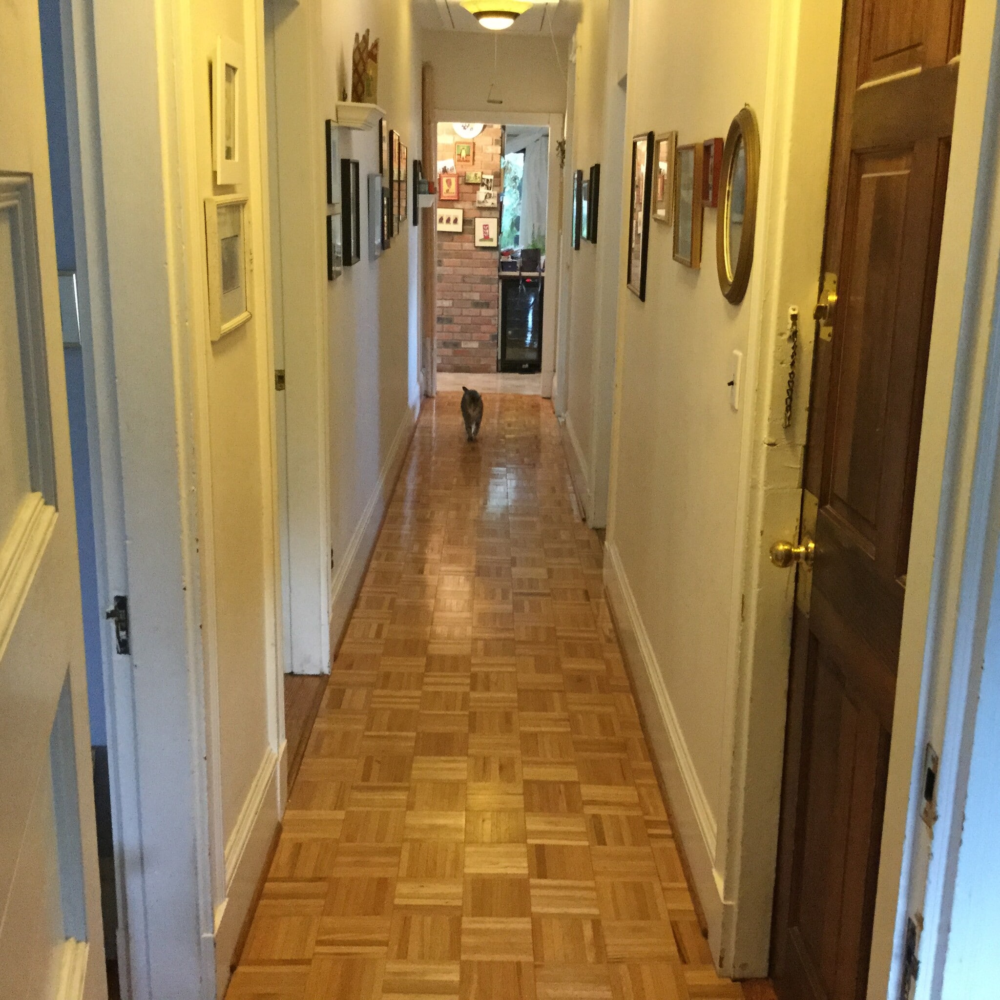 Corridor - 8 Amory St