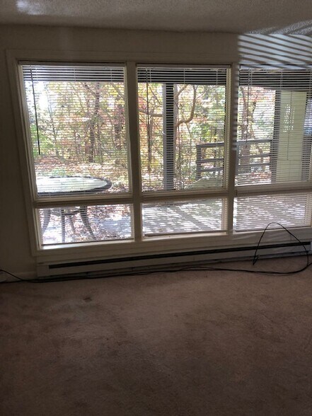 Living Room Windows - 159 Abbey Fields Ln