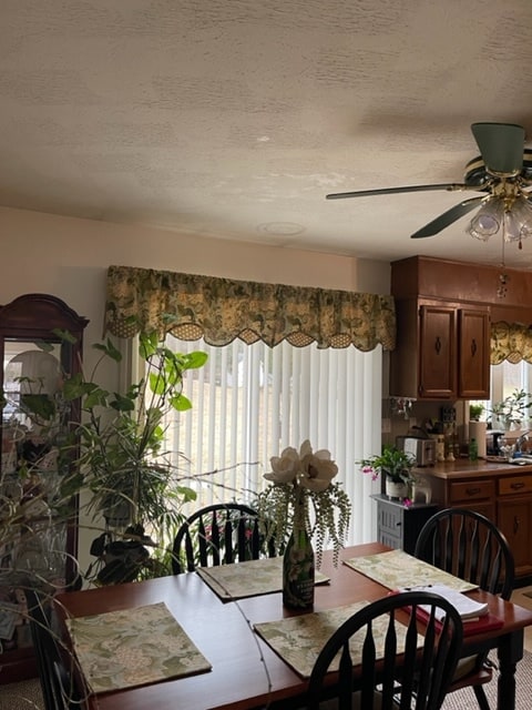 Building Photo - 295 Macrae Rd