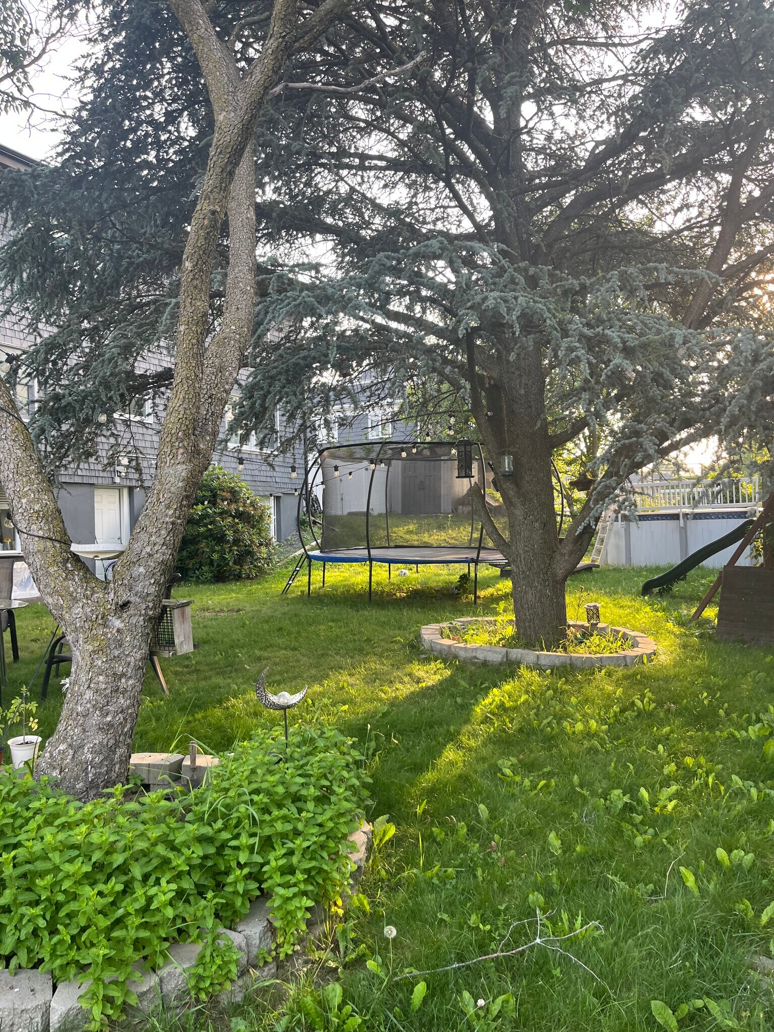 Building Photo - 94 Oakwood Ave