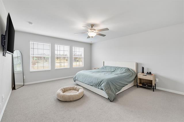 Building Photo - 2724 Big Bend Mews