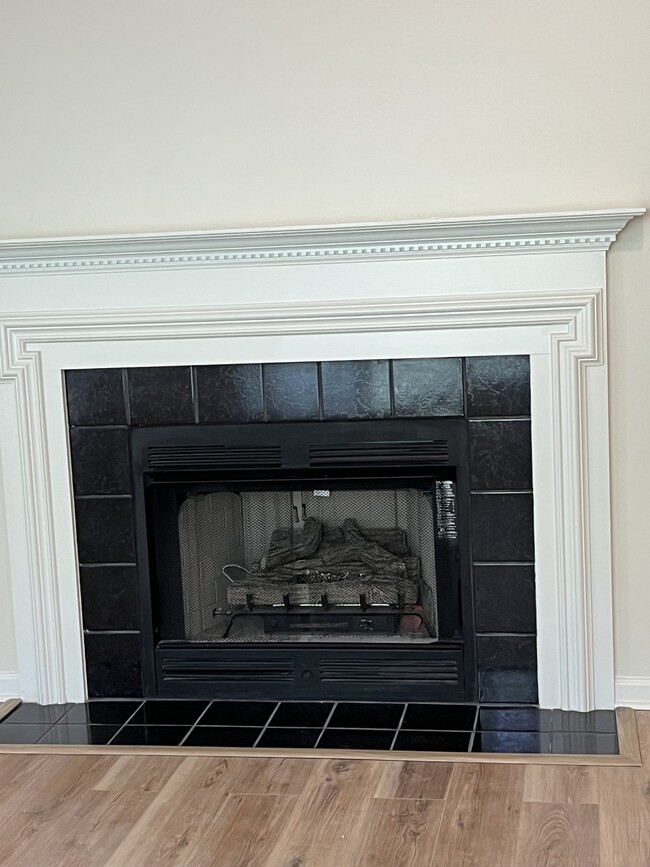 Gas Fireplace - 532 Lionshead Rd