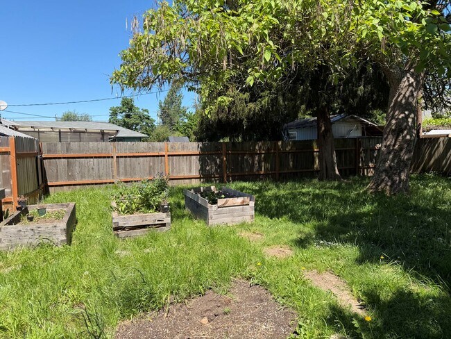 Building Photo - Large updated 2 bedroom 1 bathroom house in Springfield!