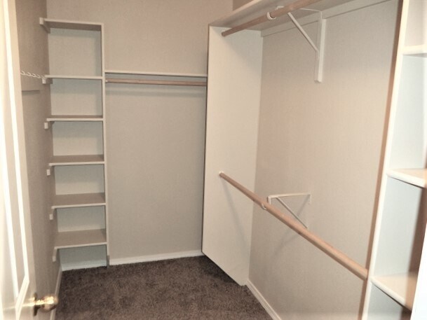 Building Photo - 868 Red Fern Dr