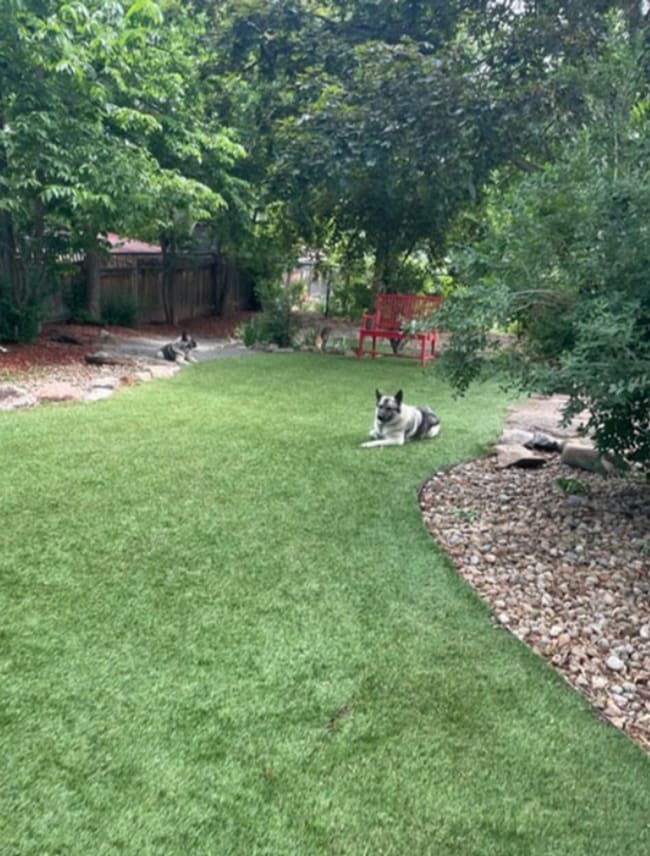 Building Photo - Remodeled 1-Bedroom Lower Unit Home with Private Walkout & Modern Amenities