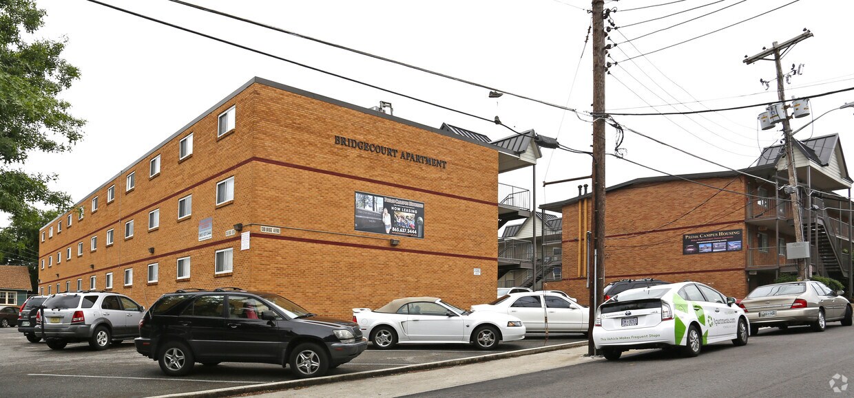 the hive apartments knoxville