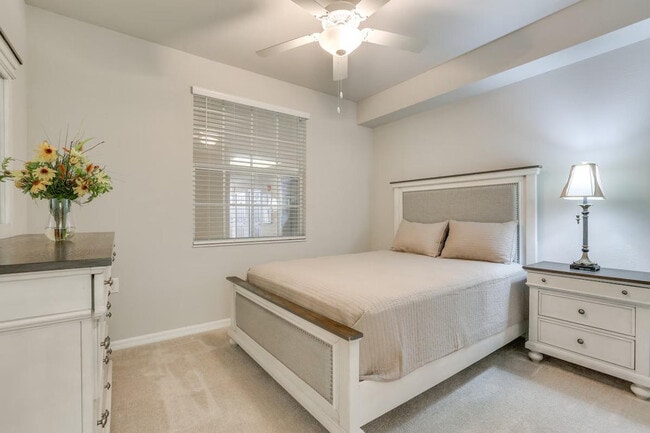 Building Photo - 10711 Palazzo Wy