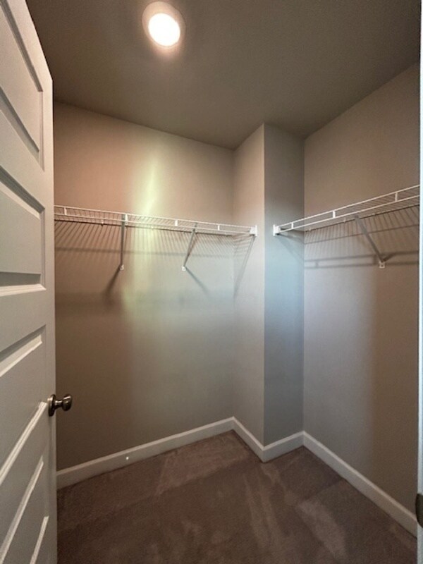 Building Photo - 309 Madison Park Dr