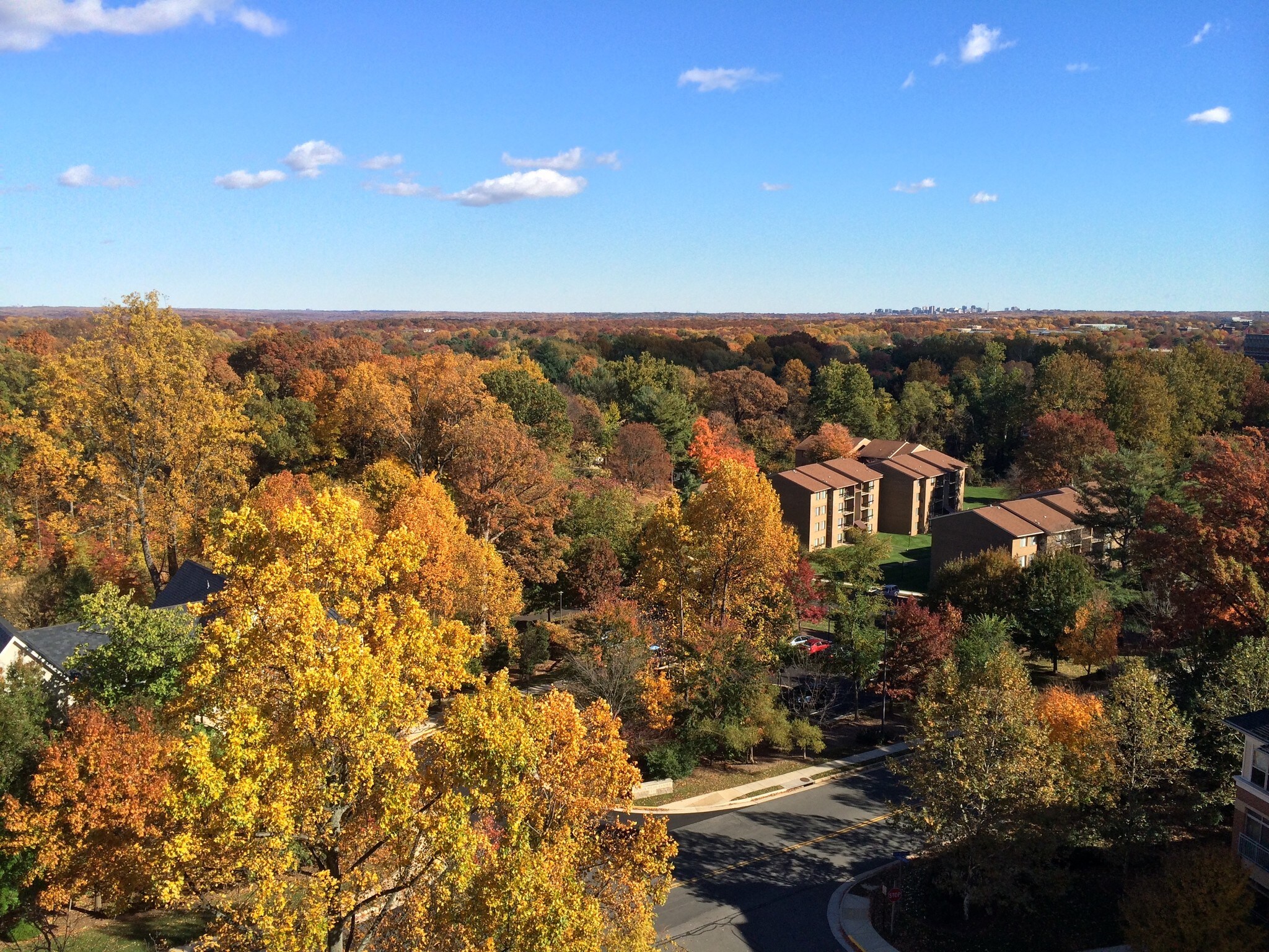 View from Living Room & Master Bedroom …rich glare free views with the sun behind you after 2pm - 11776 Stratford House Pl