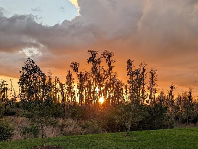 Building Photo - 32558 Tree of Life Ave