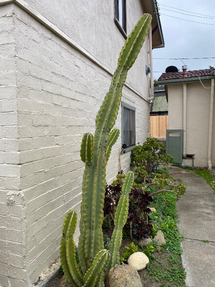 Building Photo - 2110 Wilton Dr