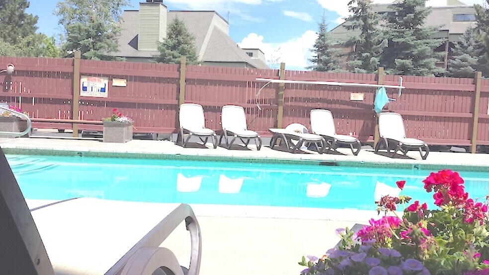 summer at the pool - 1530 Empire Ave