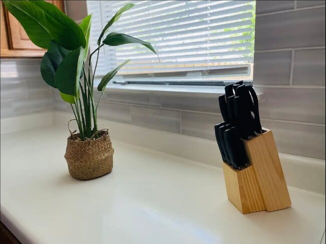 Building Photo - 336 Victor St