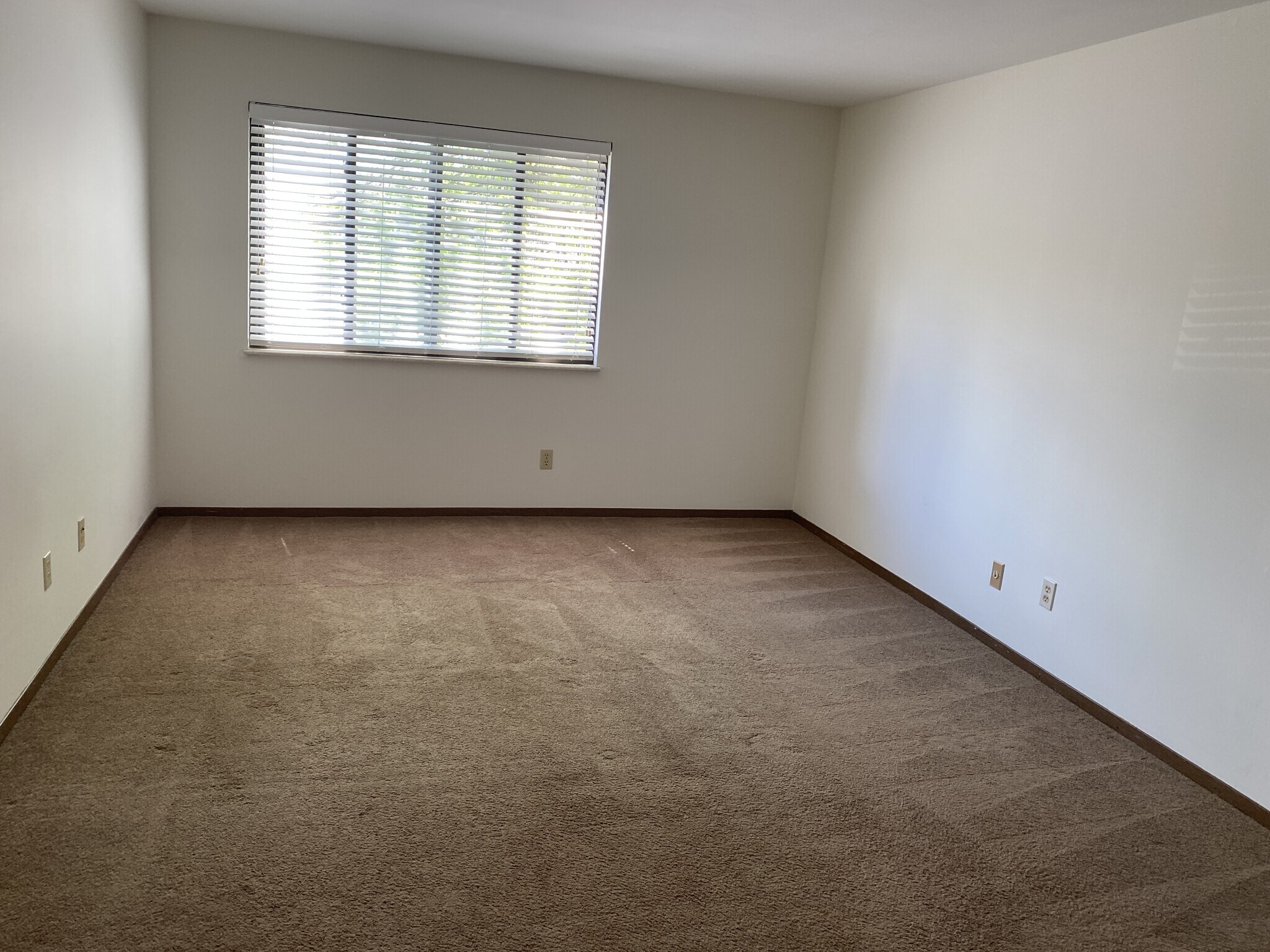 Building Photo - 1531 Springlet Ct