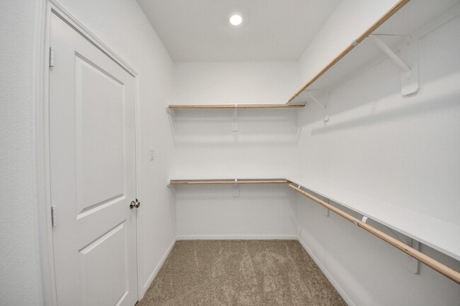 Building Photo - 5615 Buttonbush Ct