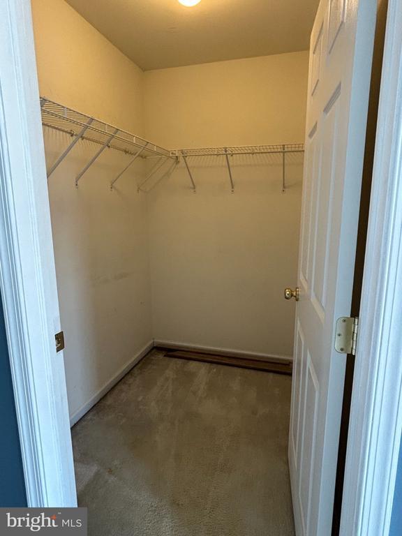 Building Photo - 445 Fort Hill Cir