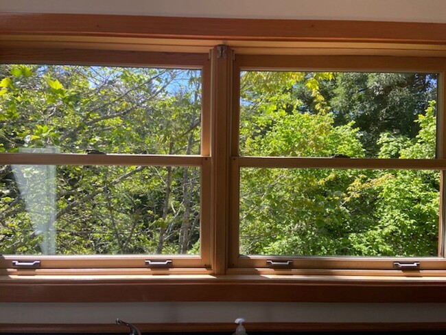 Building Photo - Private / executive 3/2 by Sequoia Park