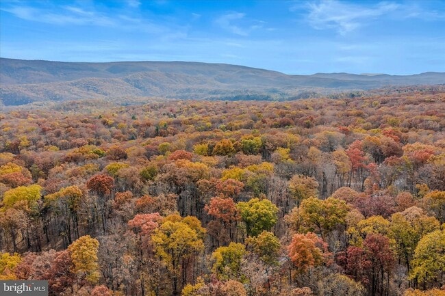 Building Photo - 67 Tranquil Way