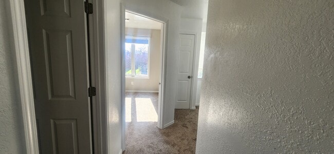 Building Photo - 1111 Biehl Dr