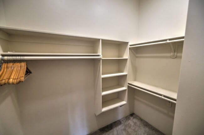 Building Photo - Single Story Foothills Home with Brand New Carpet in all Bedrooms!