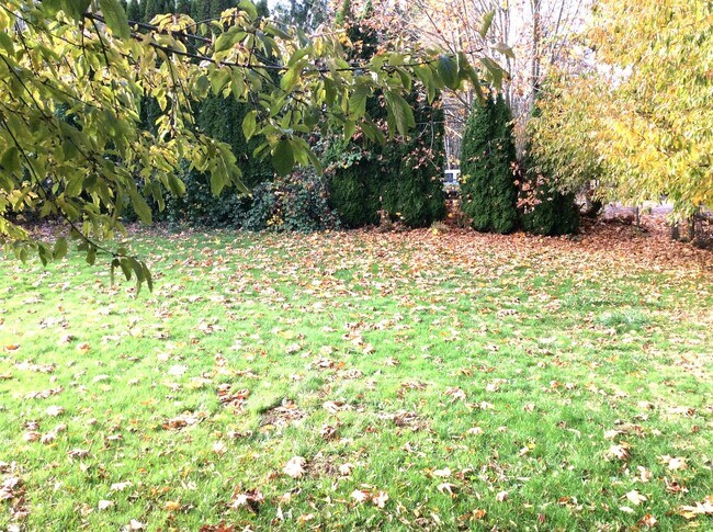 Building Photo - Kemper