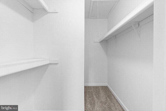 Building Photo - 408 Stockton Ct