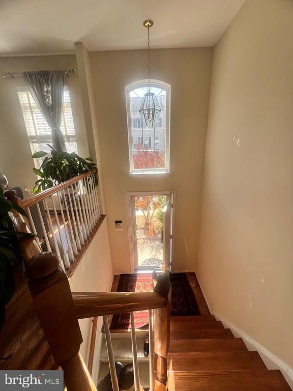 Building Photo - 7317 Hampton Manor Pl