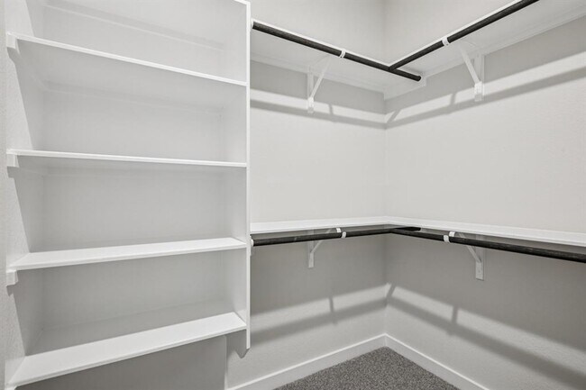 Building Photo - 2333 Moon Tower Trl