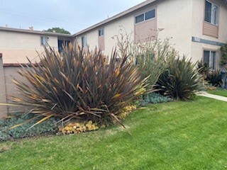 Primary Photo - 988 Valencia St