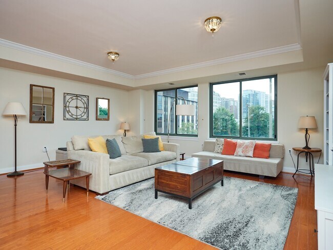 Large 20x20 Living Room with Views over the park - 3625 10th St N