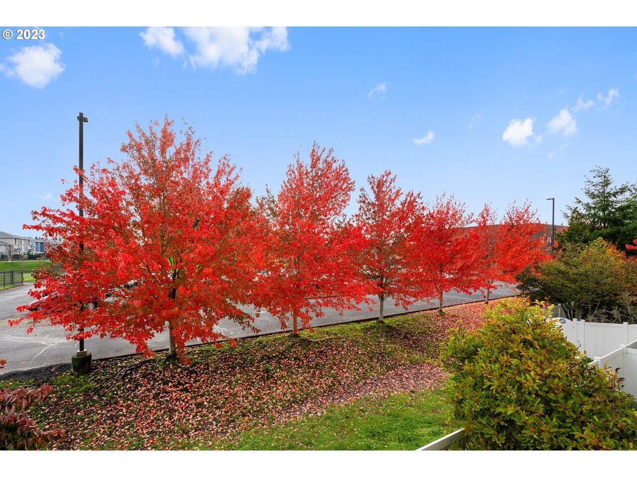 Building Photo - 3509 NE 80th St