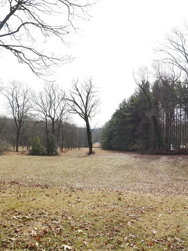 Building Photo - Stunning 1928 Estate Home in Caves Valley ...