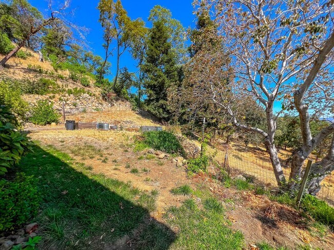 Building Photo - 4398 Atlas Peak Rd