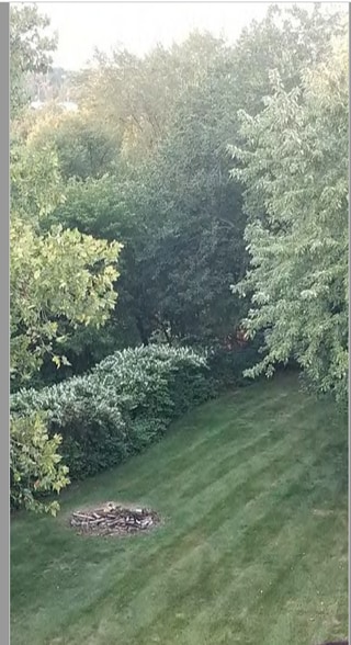 Back Yard with fire Pit - 277 Bluff St