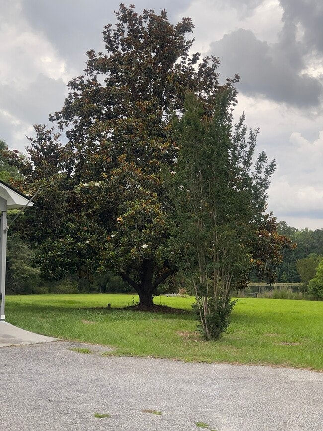 Building Photo - 121 Ellis Rd