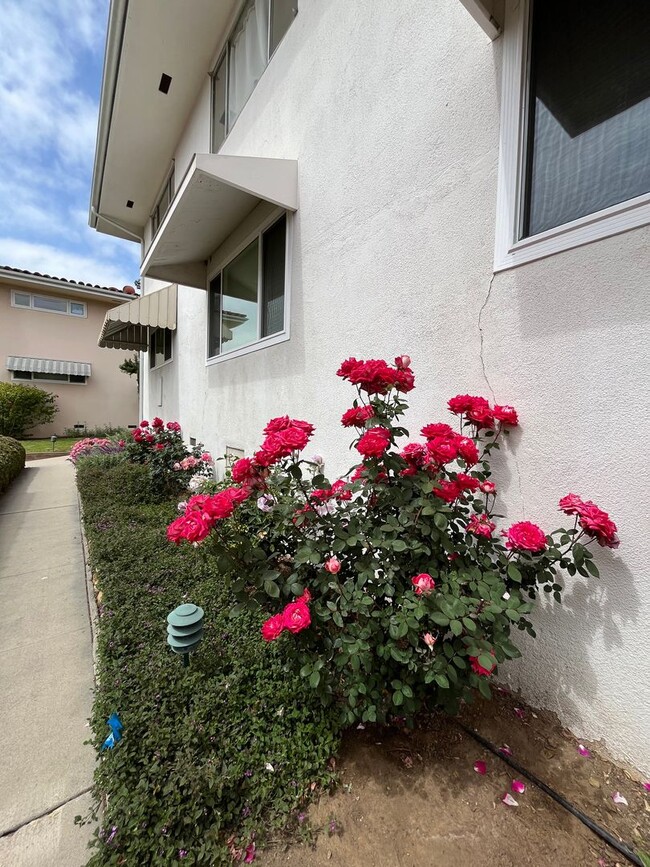Building Photo - Villa Constance South Condo