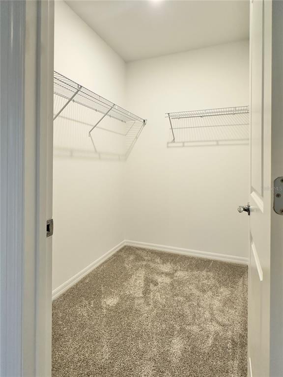 Building Photo - 4685 Citrus Cir