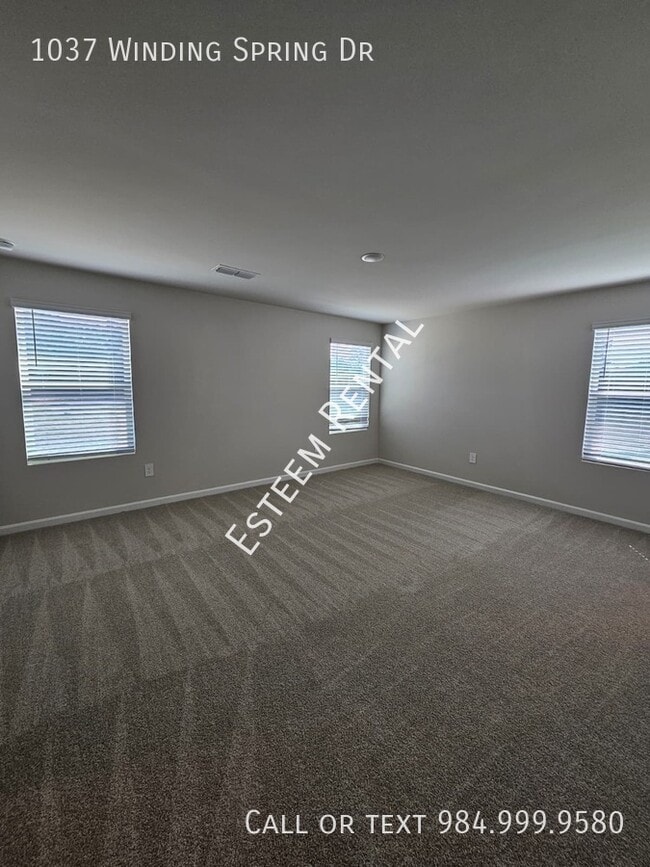 Building Photo - 1037 Winding Spg Dr