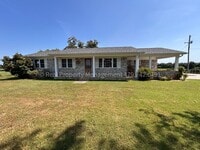 Building Photo - 4134 Palestine Rd