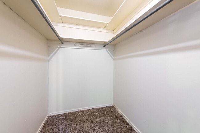 Building Photo - Available Now: Charming 3 Bed / 2 Bath in Rollingwood - Zoned to Eanes ISD - Large Yard