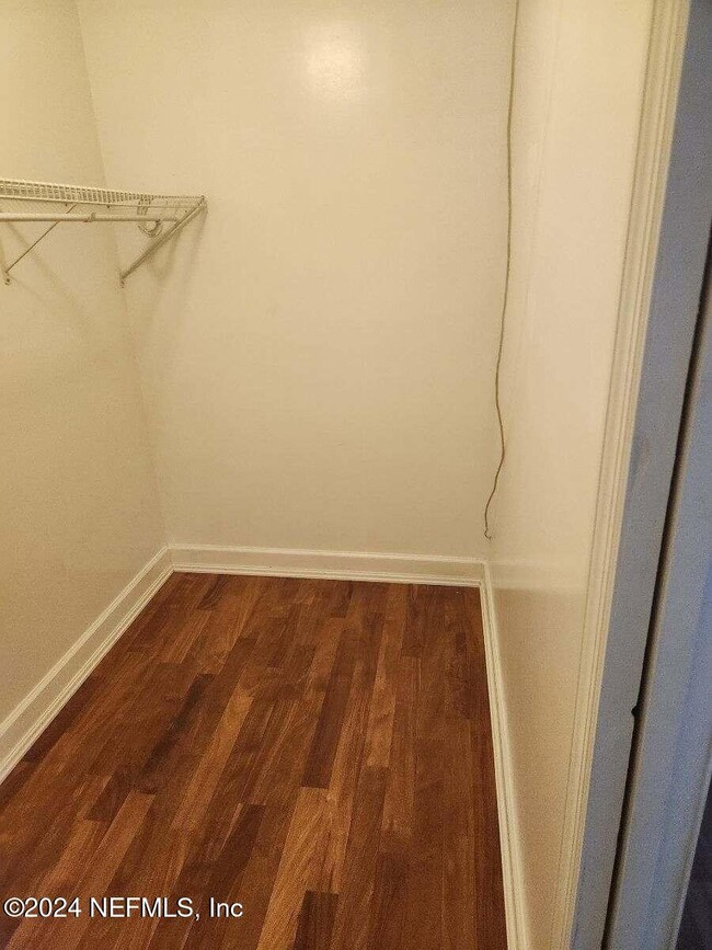 Building Photo - 1736 Fruit Cove Woods Dr